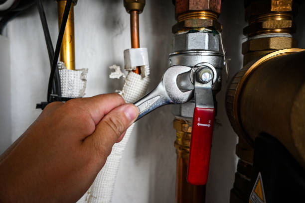 Best Affordable Plumbing Services  in Rio Grande City, TX